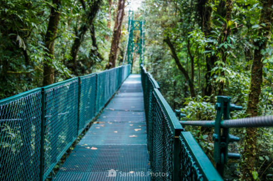 De fotohiking por Costa Rica: el Bosque Nuboso de Monteverde